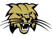 Buchholz High Softball Season Preview